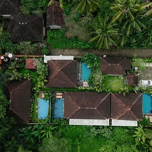 Zone , Ubud (Bali) Indonesia